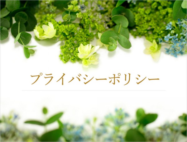 privacy_sp_mini