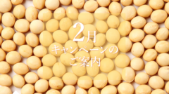 2月キャンペーンのご案内